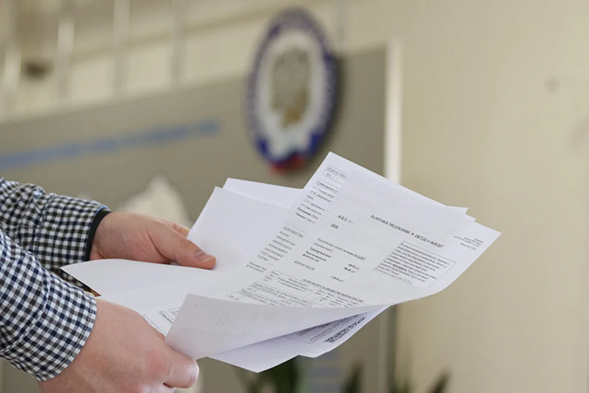 Фото из открытых источников.