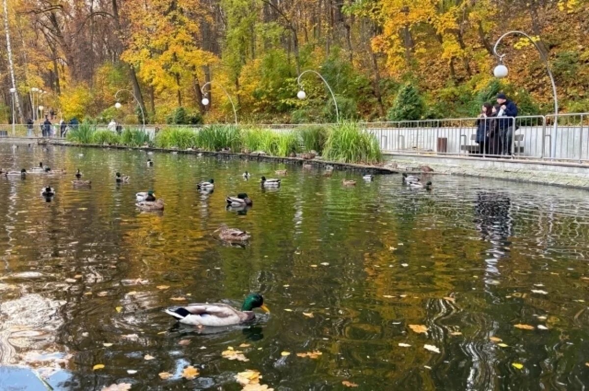    Афиша на 25 и 26 октября.