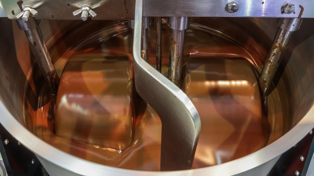    Фото: Bulkin Sergey/news.ru/