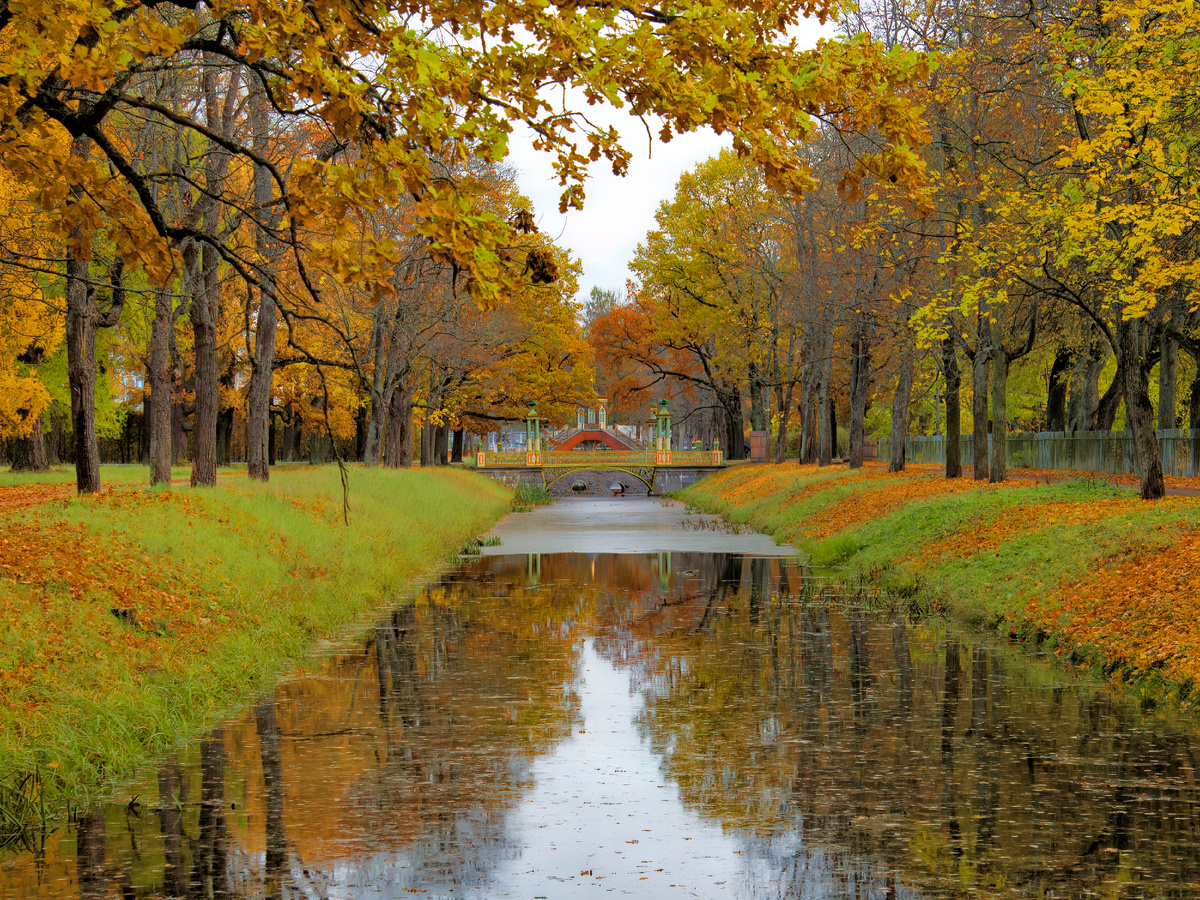 Александровский парк, китайский мостик