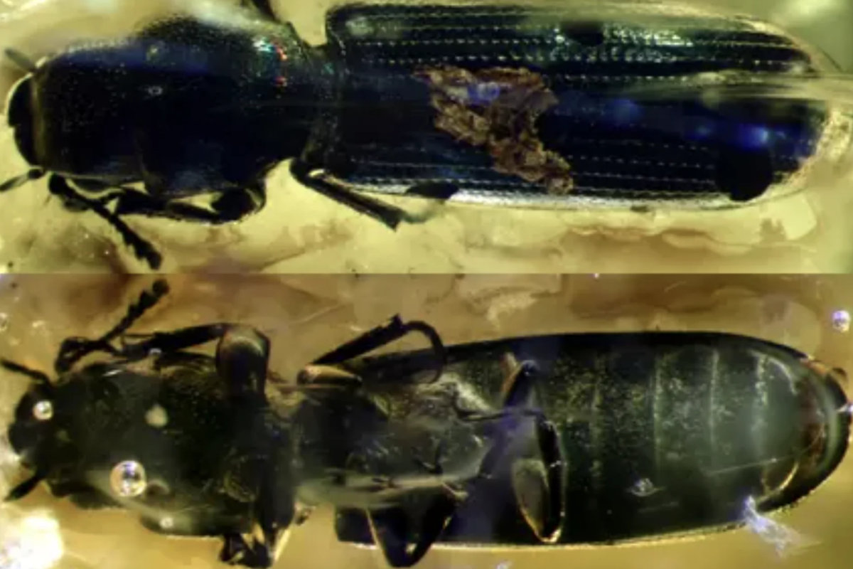    Фото: БФУ им. Канта