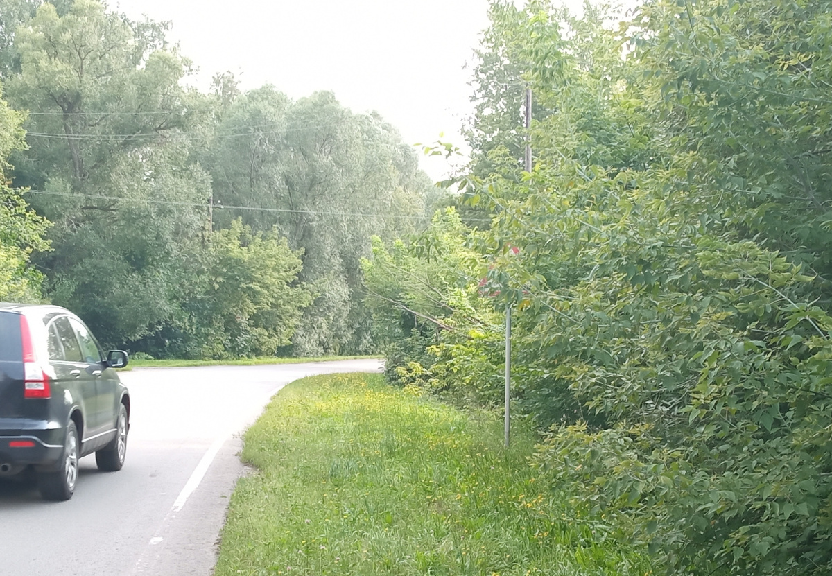 Обочины заросли деревьями и кустами, скрывающими знаки