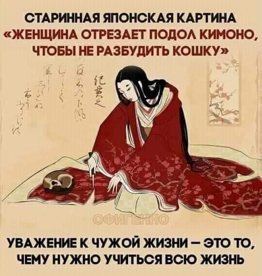 Фото Яндекс картинки.