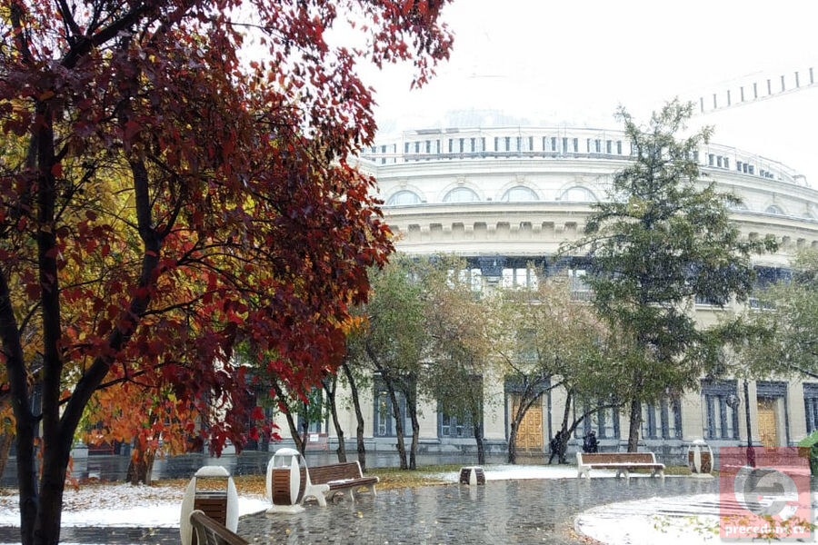    Фото: Прецедент