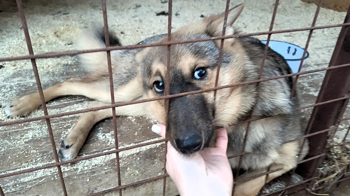 Макс, а ты что думаешь? Откуда каша?