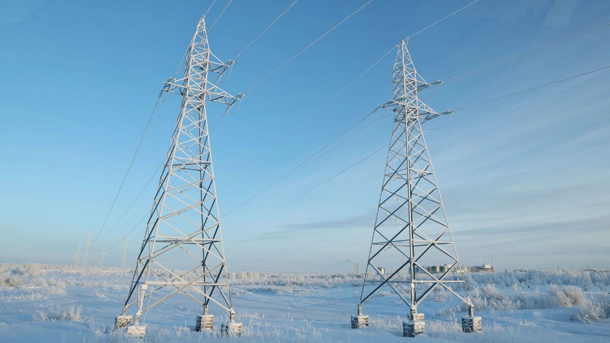    Фото: Андрей Ткачев / «Ямал-Медиа»