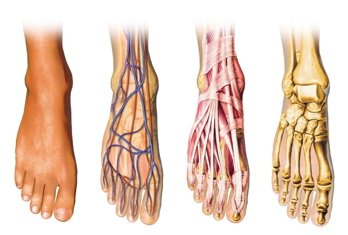 Картинка добавлена для информационных целей. Владелец drmajedissa.com