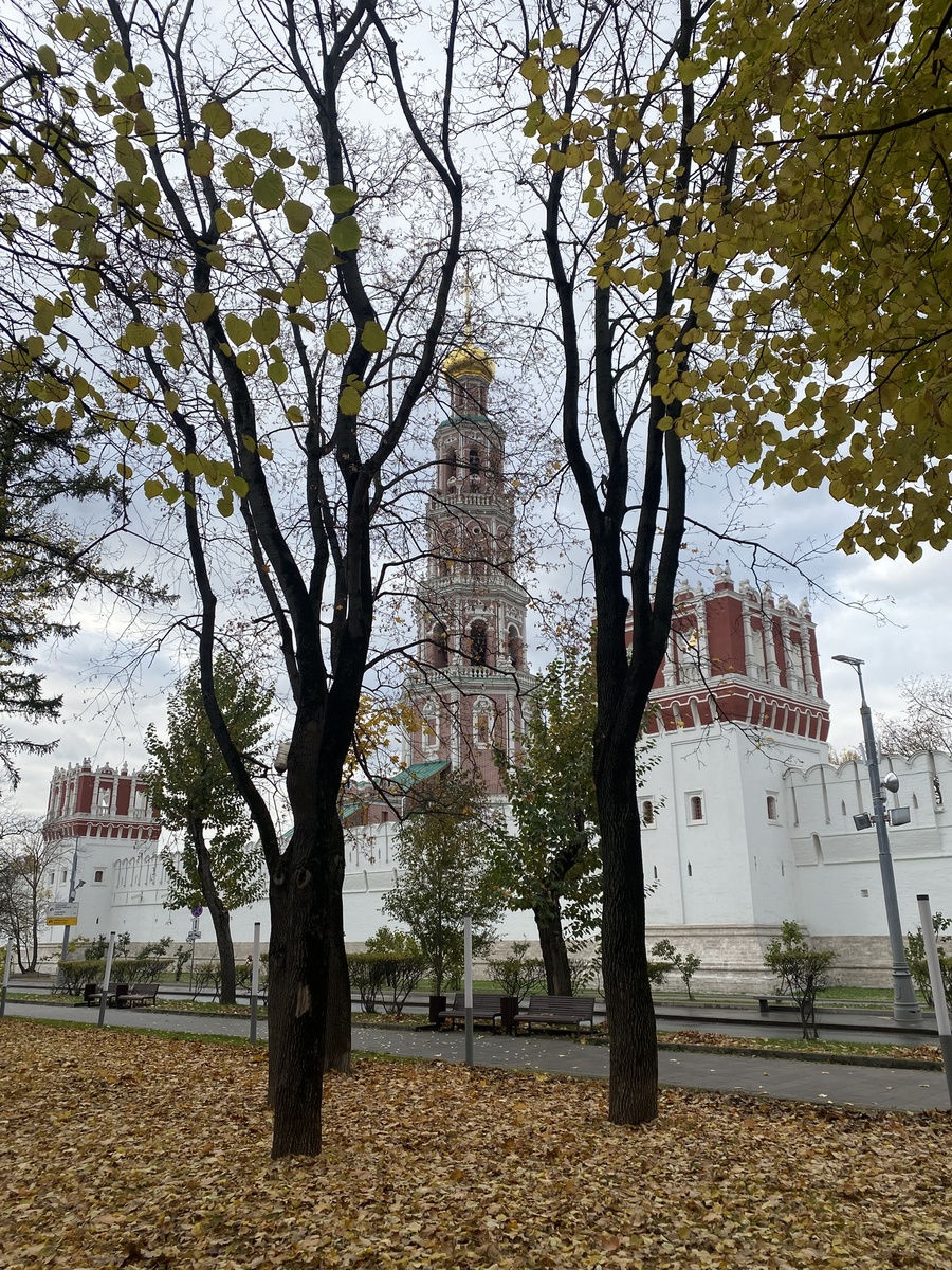 Новодевичий монастырь