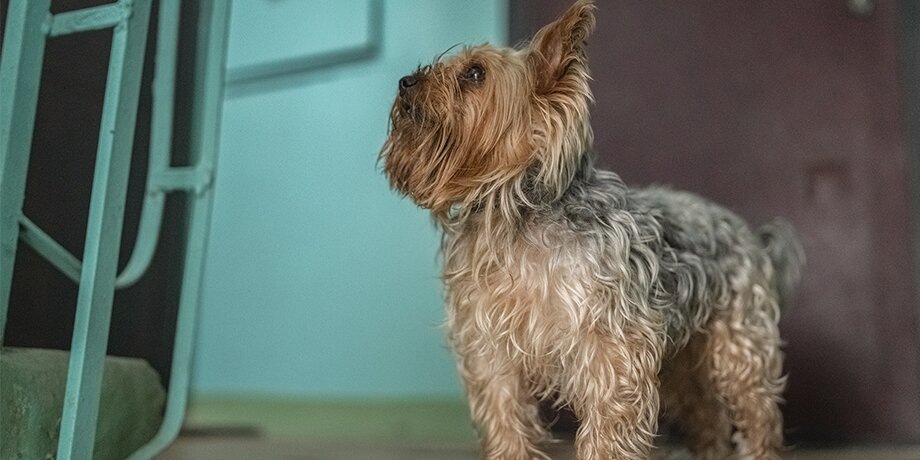    Фото: 123RF.com/shymar27