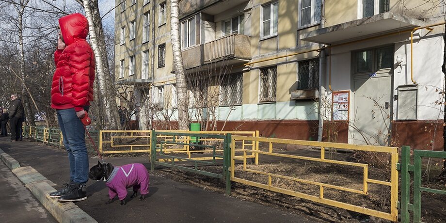    Фото: пресс-служба мэра и правительства Москвы/Гришкин Денис