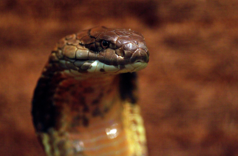    Михаил Воскресенский/РИА Новости