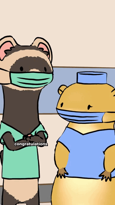 Видео naturalhabitok в TikTok - https://www.tiktok.com/@naturalhabitok/video/7507297183310384427