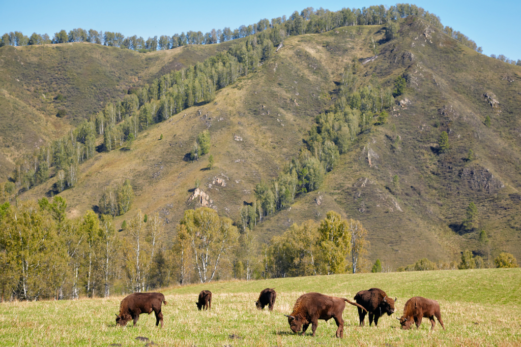 Источник: © Serg Zastavkin / Фотобанк Лори