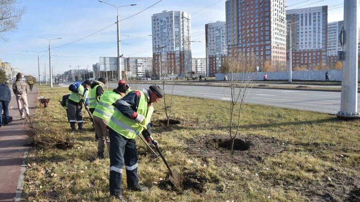    Сергей Сапоцкий