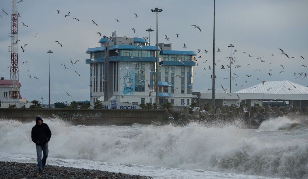     Набережная пляжа в Сочи после шторма. Источник: © РИА Новости Автор фото: Нина Зотина