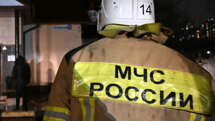    Фото: © РИА Новости/Кирилл Каллиников