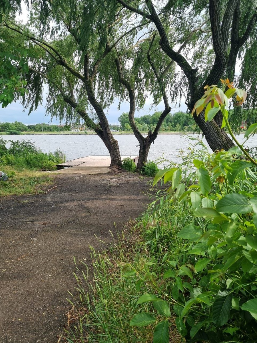 То самое место, где подростки увидели старика. Девочки были на пирсе, дедушка - в кустах.