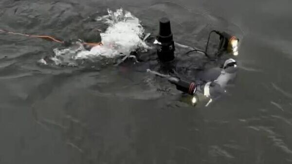    © Sputnik / Татьяна Федоренко