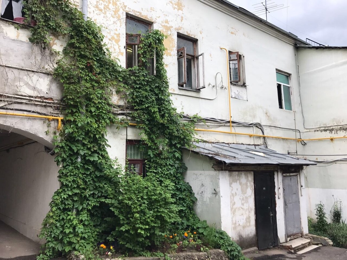 Источник: https://uslugi.yandex.ru/117048-kurkino/category?text=%D0%BF%D1%80%D0%BE%D0%B3%D1%83%D0%BB%D0%BA%D0%B8+%D0%BF%D0%BE+%D0%BA%D1%80%D1%8B%D1%88%D0%B0%D0%BC&fn=e0897ec61fd3f0f8a3ff&displayid=ArsenO-1584880