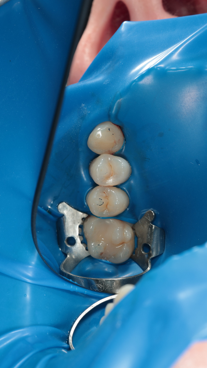 Ну что, какой будем лечить? На вид все симпатяги 