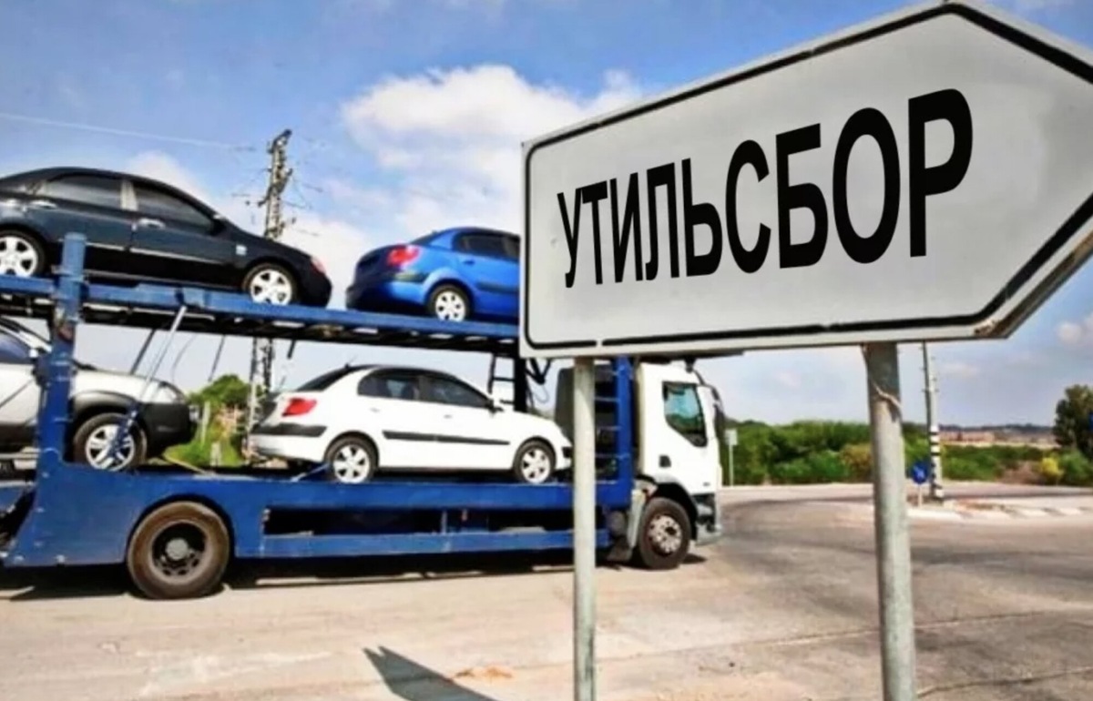 Фото: https://avatars.mds.yandex.net