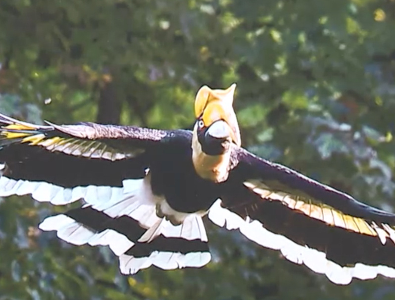    скриншот репортажа телеканала "Санкт-Петербург"