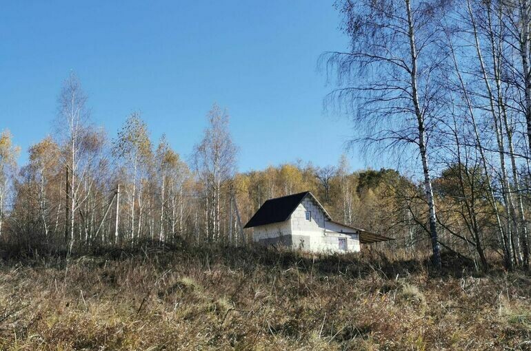   Игорь Самохвалов/«Парламентская газета»