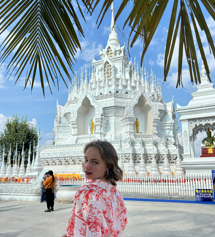 Вот он красавчик!