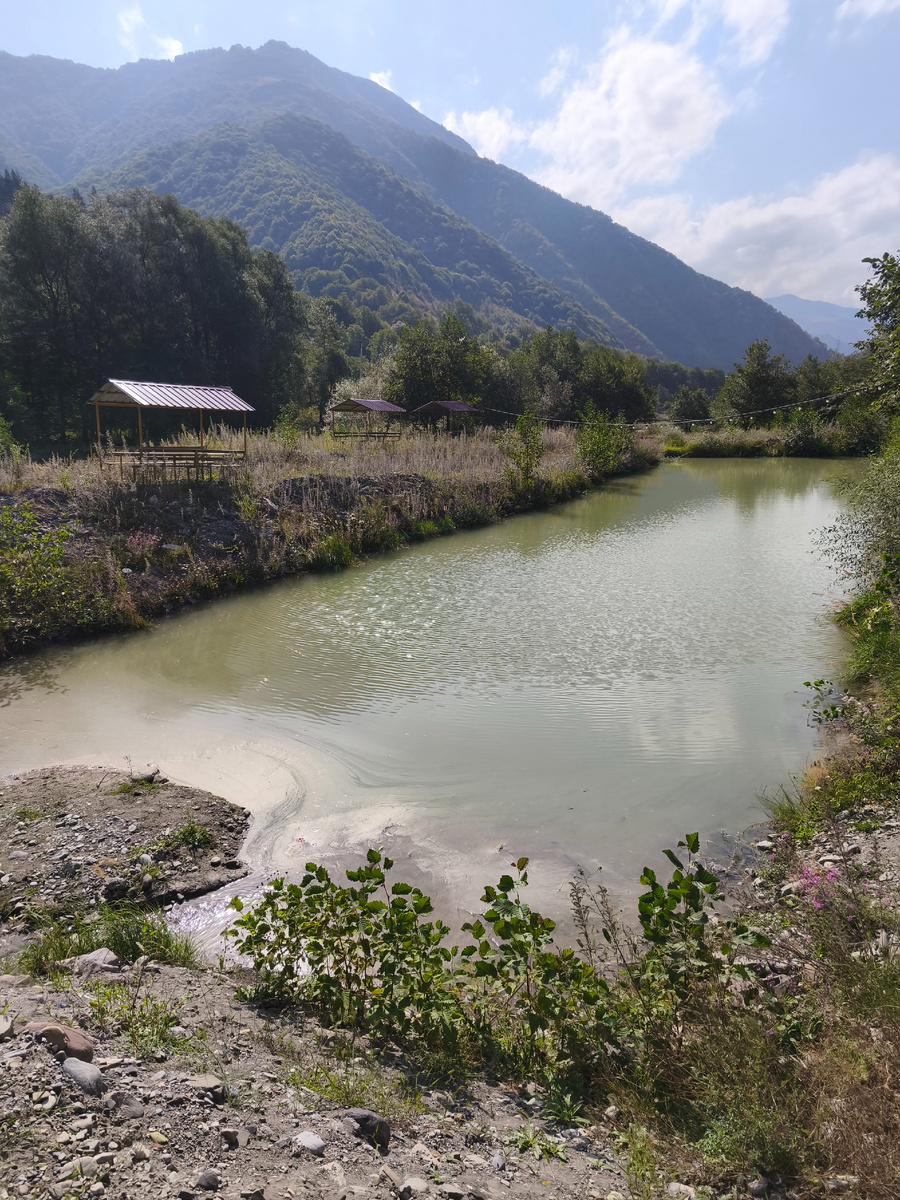 Пруд с форелью. Как она в такой мутной воде живет?