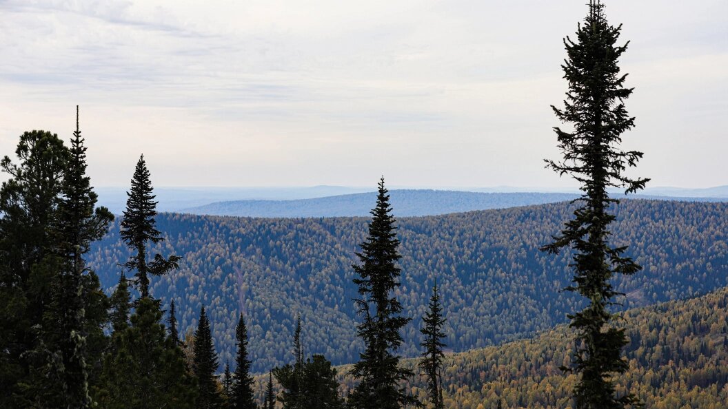    © Razmik Zackaryan/Globallookpress