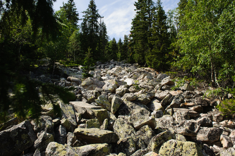    фото: © Dmitry Chasovitin/globallookpress