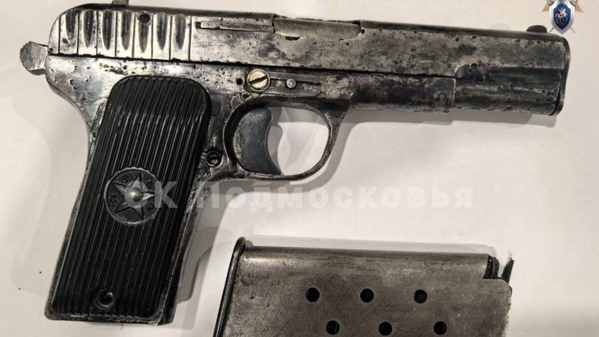    Фото: пресс-служба Следственного комитета России по Московской области / Telegram