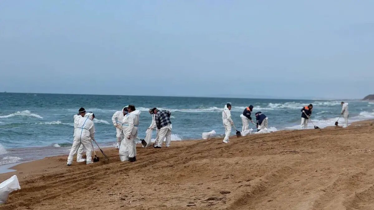    Фото: vm.ru Полина Белоусова