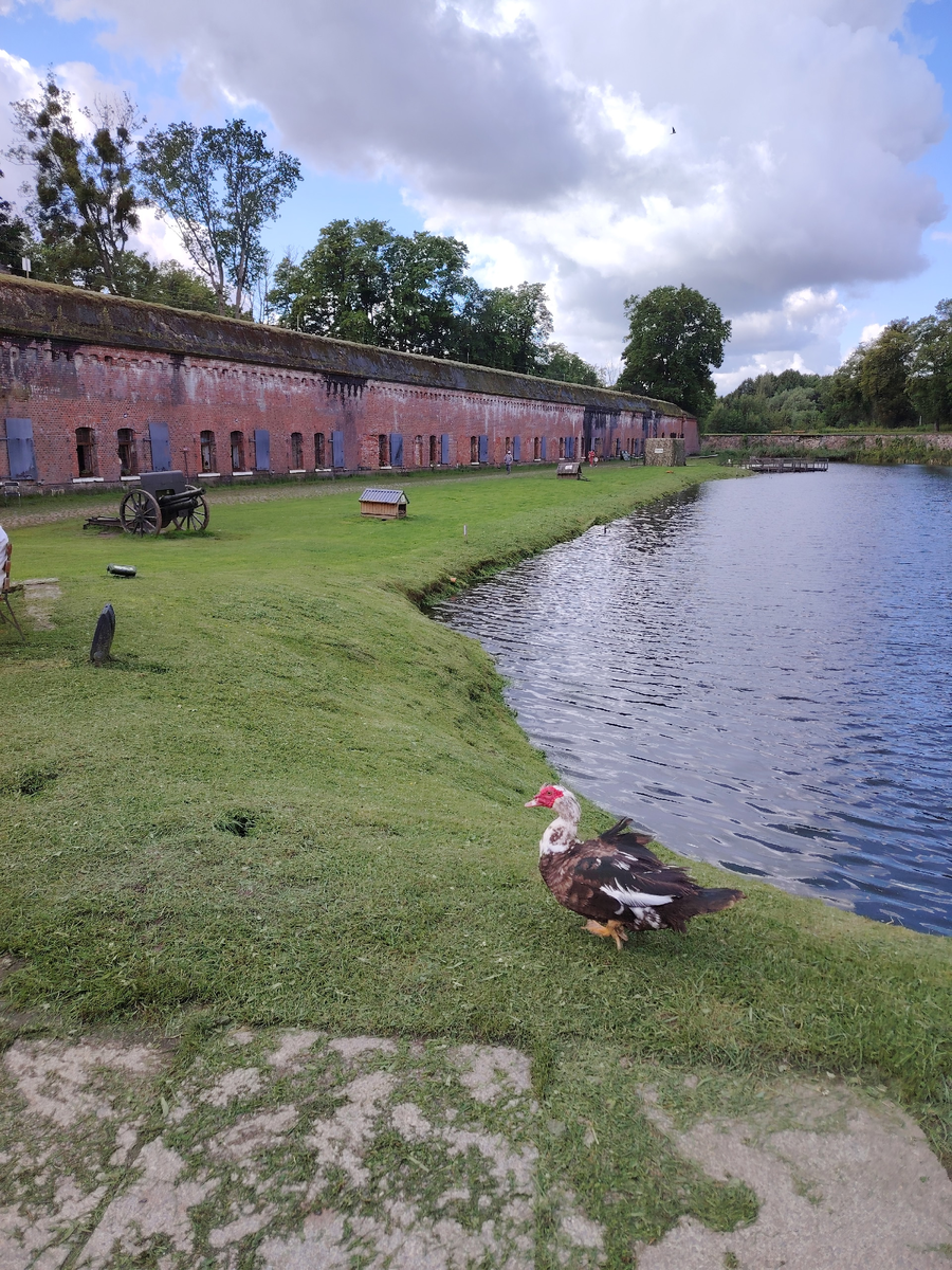 Житель Форта