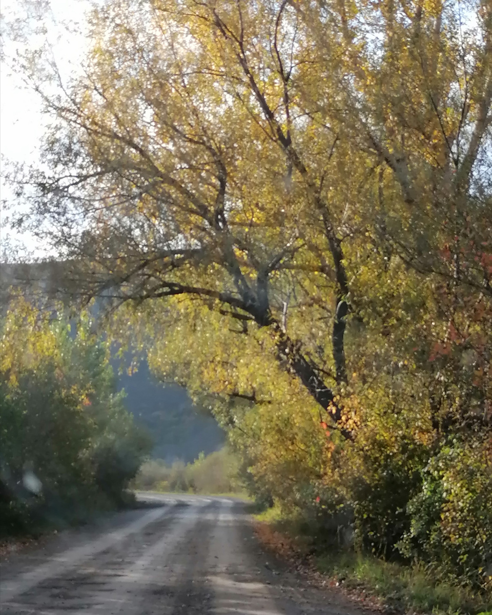 Люблю дорогу... 