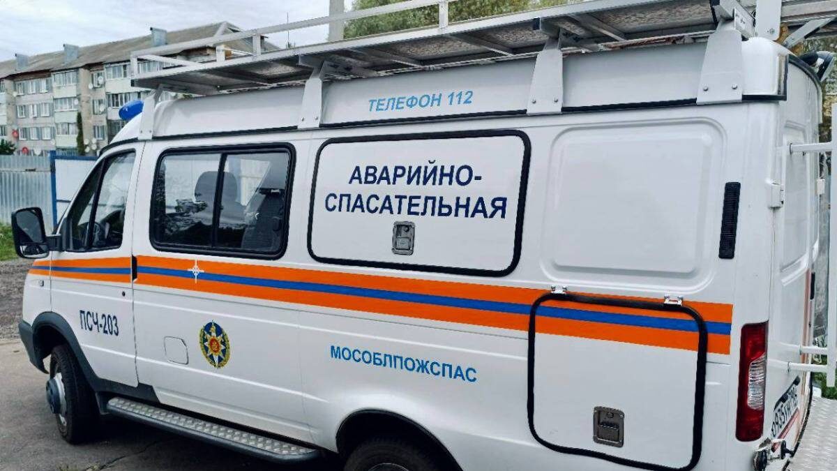    Фото: пресс-служба «Мособлпожспаса» / Telegram