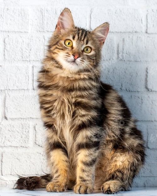 Фото из Интернета.