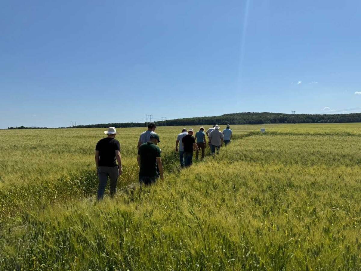 Работа на поле вместе с «Агролига России»