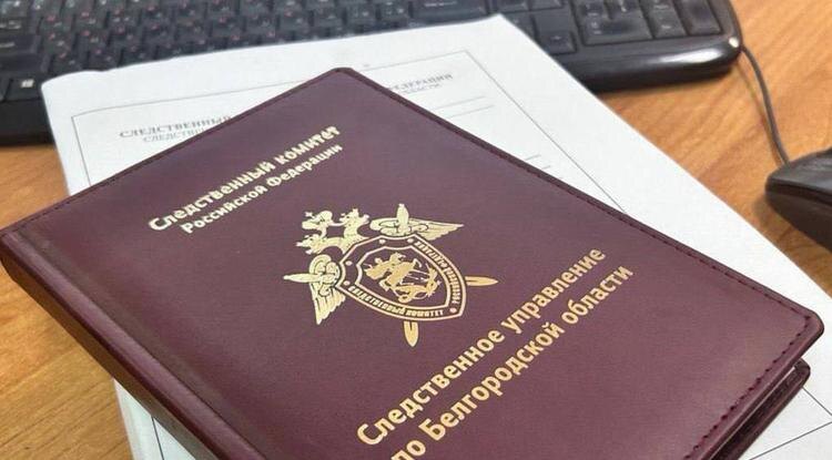 Фото: t.me/su_skr31