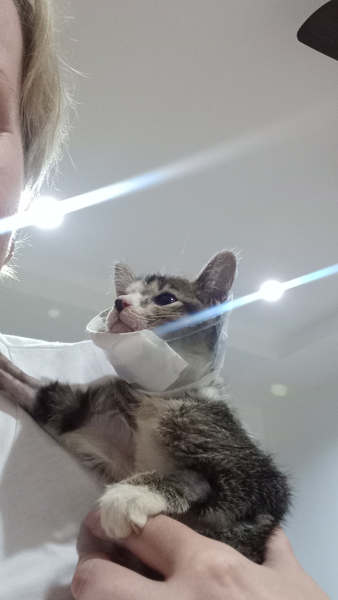 А это мы дома 