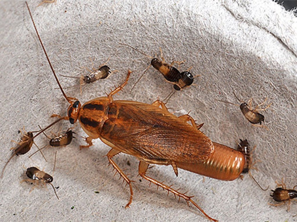 Фотография из интернета