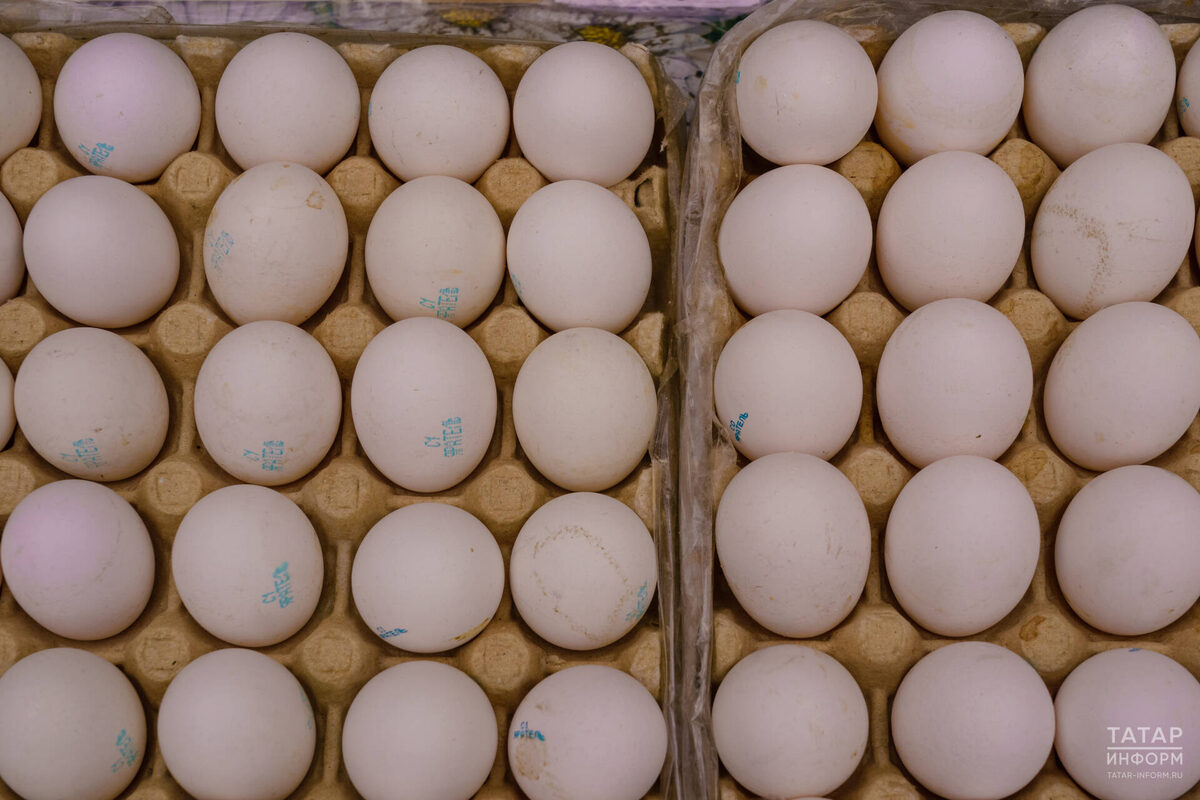 Фото: © Салават Камалетдинов / «Татар-информ»