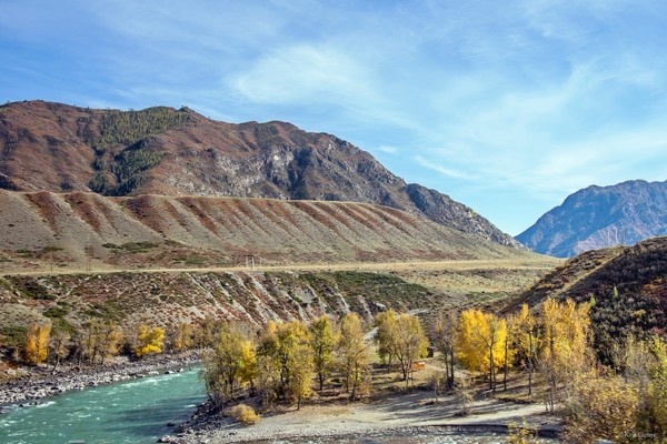 Это просто замечательно, когда всё, что ты любишь, оказывается вокруг тебя в одном месте и в одно время ...   

Осень, Катунь, Алтай ...   

  