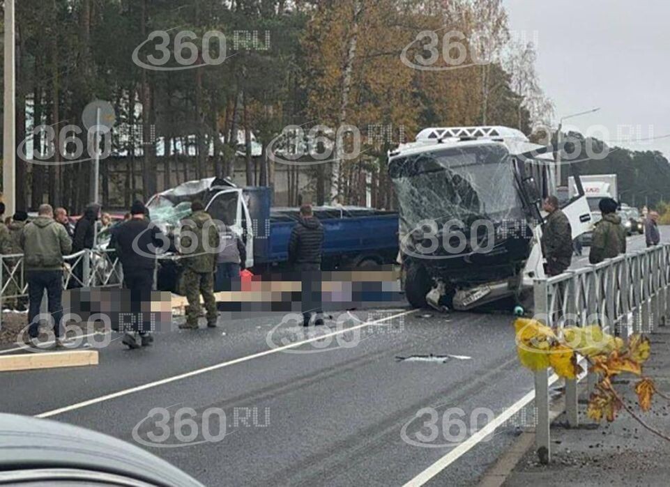     прокуратура Ленобласти / Telegram