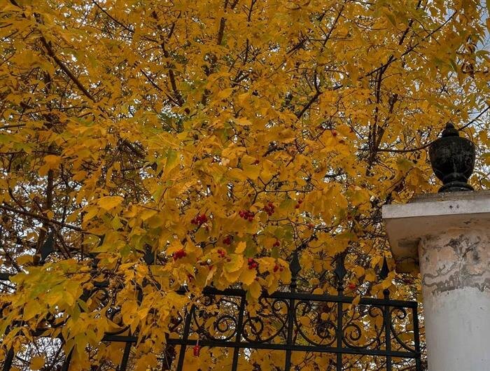    ФОТО: предоставлено пресс-службой T2