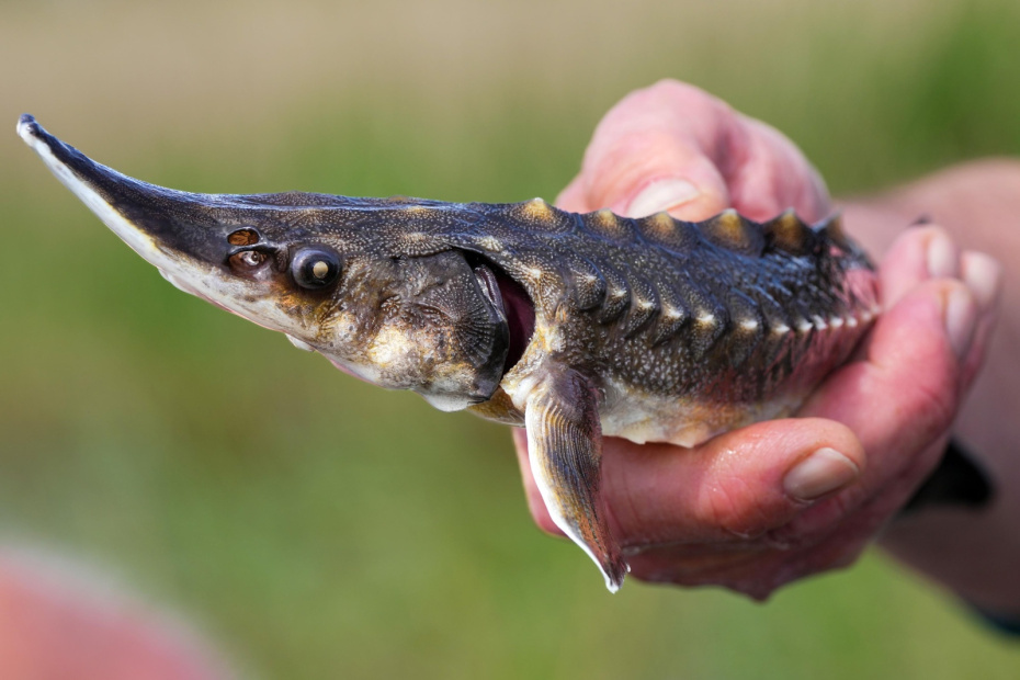    Soeren Stache/dpa/Global Look Press