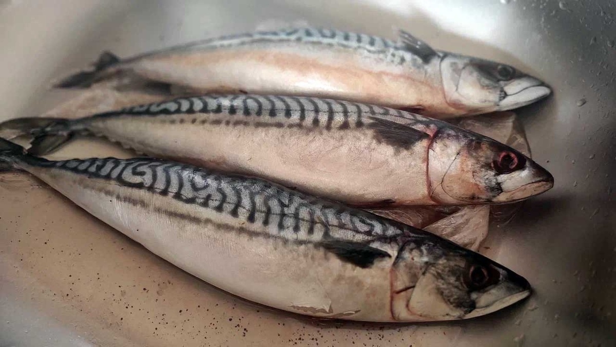 Фото: UfacityNews.ru