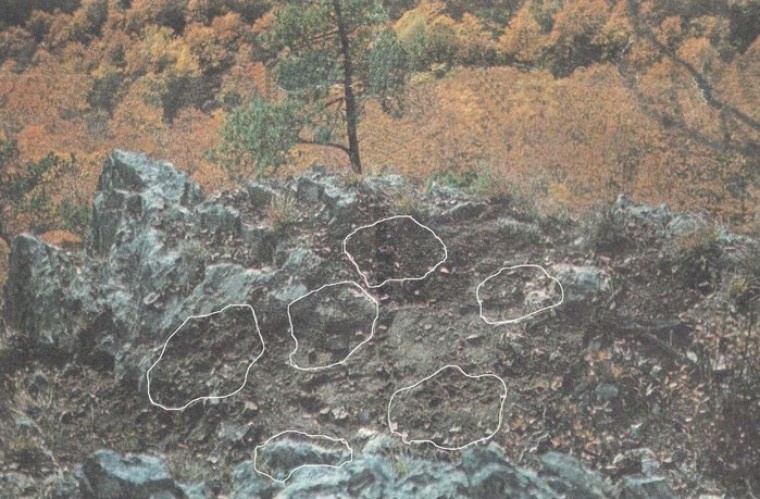 Автор: https://i.playground.ru/p/eqIIysmeiTr8oM8JOycn1g.jpeg?760xauto