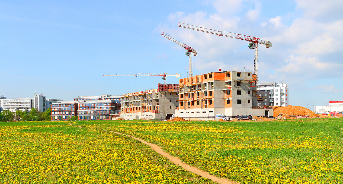 Автор фото: Kletr / Shutterstock / FOTODOM.