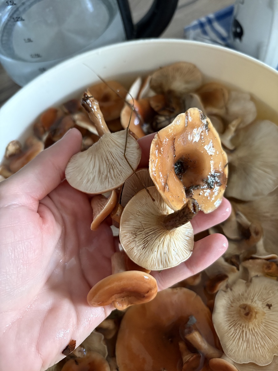 Фото подписчицы.